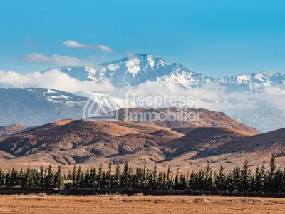 Terrain En Vente Sidi Abdellah Ghyat