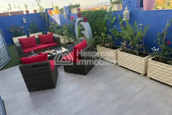 Studio with Large Terrace