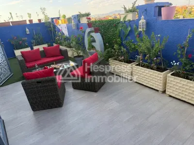 Studio with Large Terrace