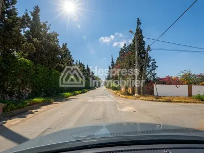 Terrain 1 ha LABISSA zone villa D7