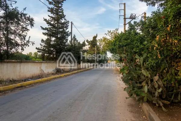 Terrain 1 ha LABISSA zone villa D7
