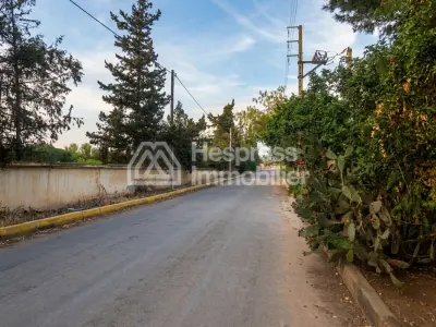 Terrain 1 ha LABISSA zone villa D7