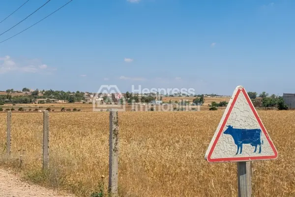Terrain 11255 m² Bouskoura/Labissa