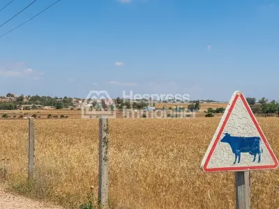 Terrain 11255 m² Bouskoura/Labissa