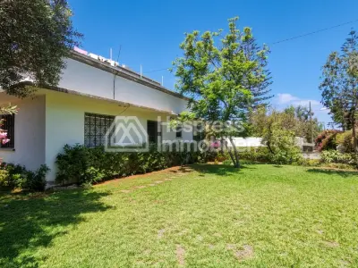 Villa 1146 m² style provençal 4 chambres