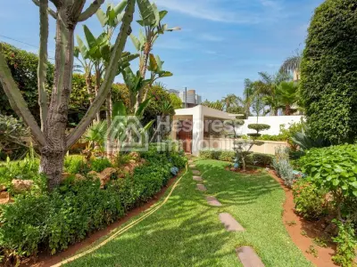 Villa 790 m² 4 chambres plein sud