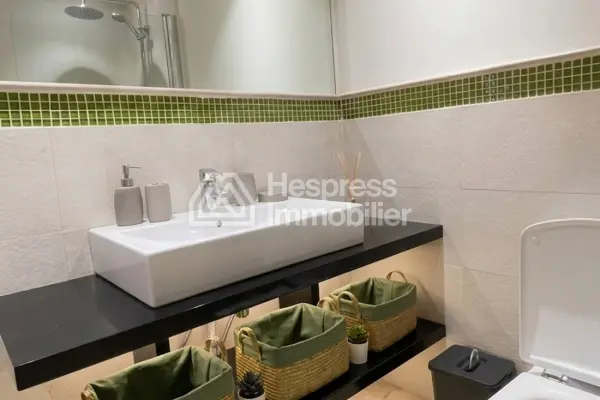 Furnished studio apartment, 60 m², with terrace Racine