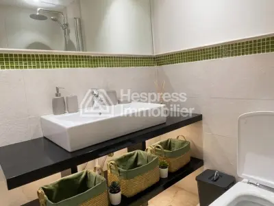 Furnished studio apartment, 60 m², with terrace Racine