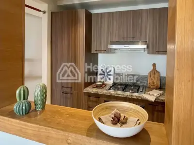 Furnished studio apartment, 60 m², with terrace Racine