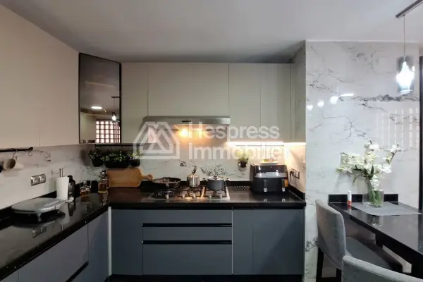 Apartment/Office 197 m² 6 rooms duplex facing twin
