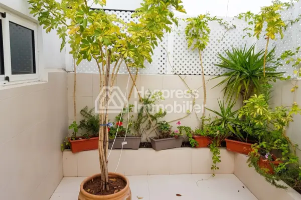 Apt 289 m² 4 chambres refait à neuf