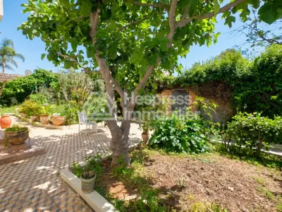 Villa 528 m² à retaper 4 chambres calme