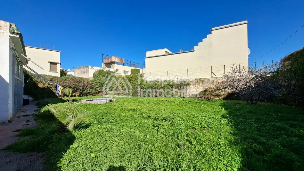 Villa 728 m² à raser grand jardin