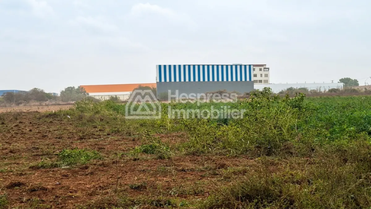 Terrain 2.8 ha Zone LN3 commerces pour 2 étages