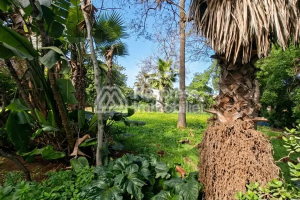 Villa 2108 m² à retaper plein sud calme