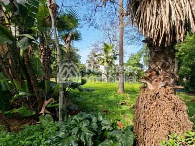 Villa 2108 m² à retaper plein sud calme