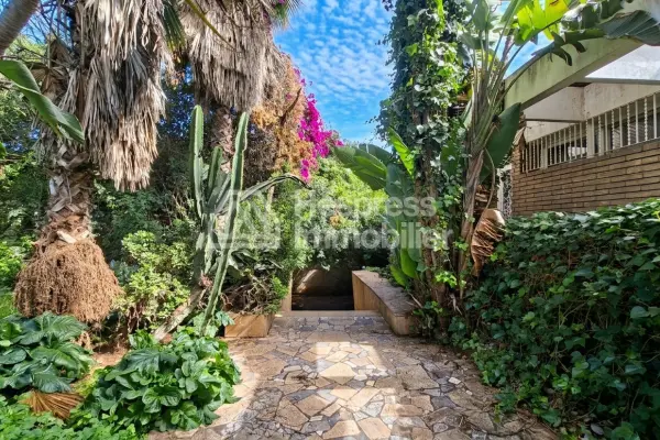 Villa 2108 m² à retaper plein sud calme