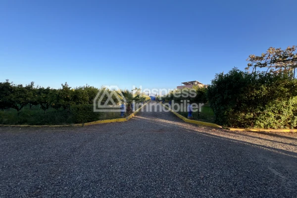 Titled property of 1.75 hectares – 22 km from Marrakech