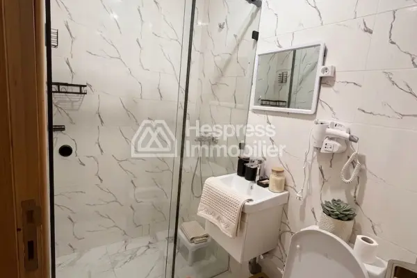 Furnished apartment for rent