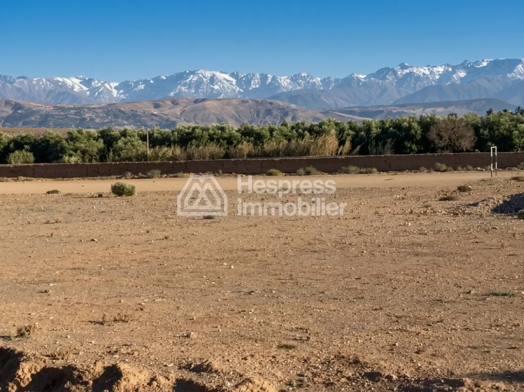 Terrains titrés SD1 autorisés à vendre