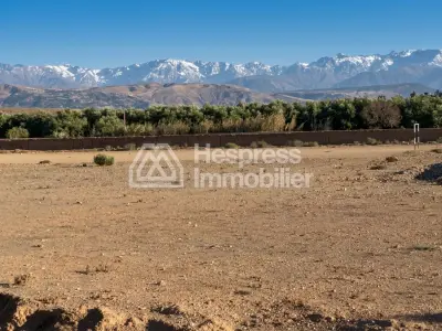 Terrains titrés SD1 autorisés à vendre