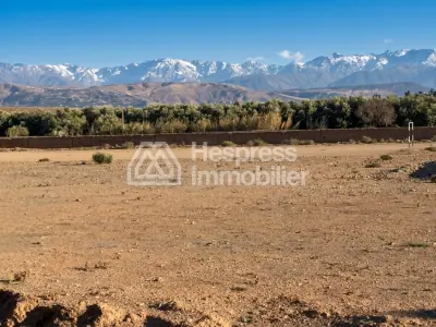 A 7-hectare plot of land with SD2 title deed for sale