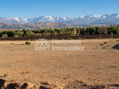 Titled SD1 plots of land for sale