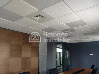 Villa à usage professionnel à vendre 450 M²