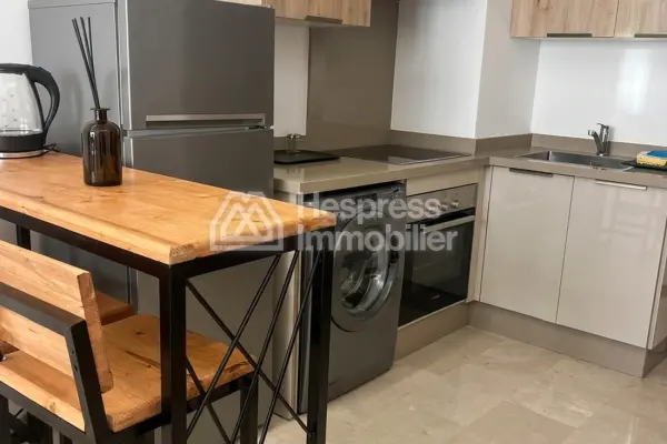 Furnished studio apartment for rent CFC tour33