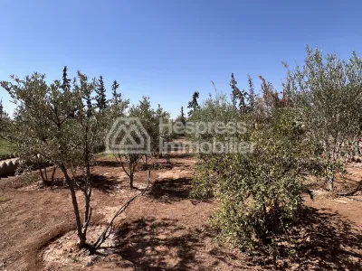 Vente Belle villa sans vis à vis, Rte de Fès