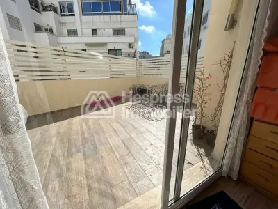 Location top appart meublé 3 ch terasse palmier
