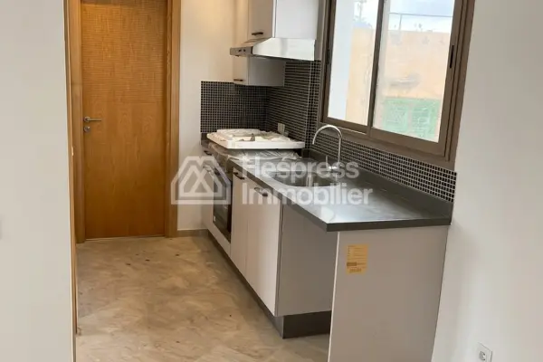 Location appart Vide deux ch palmier neuf