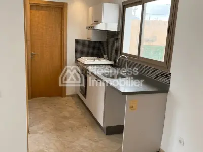 Location appart Vide deux ch palmier neuf
