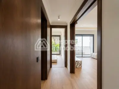 Apartment Palmier living room 2 bedrooms