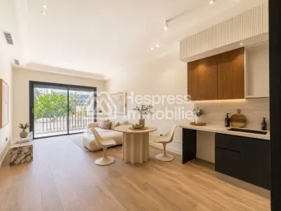 Apartment Palmier living room 2 bedrooms