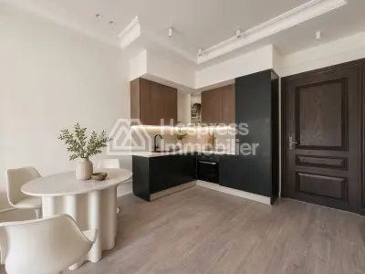 Apartment Palmier living room 2 bedrooms