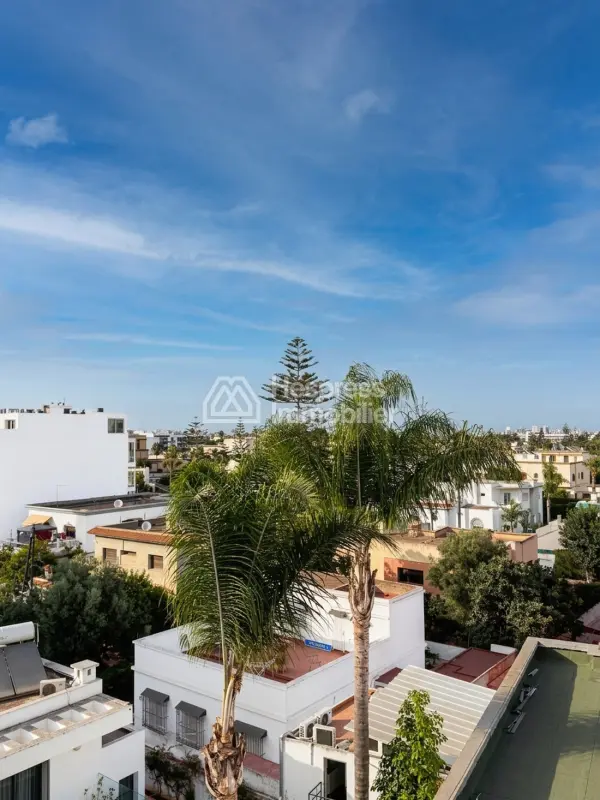 Vend appartement à Oasis. Surface totale 47 m². Air conditionné et cheminée