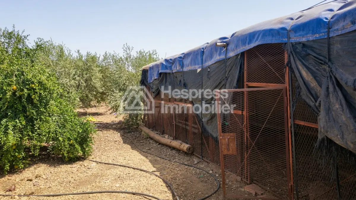 أرض زراعية مسجلة