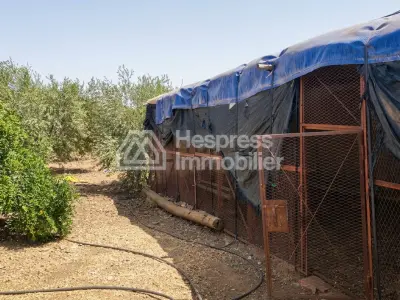 أرض زراعية مسجلة