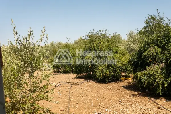 أرض زراعية مسجلة