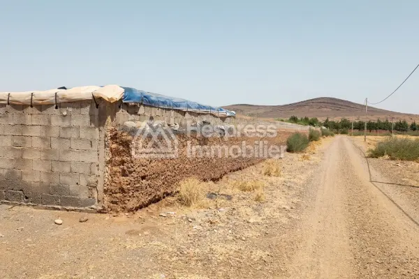 أرض زراعية مسجلة