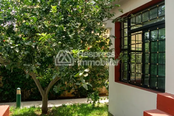 Charming villa