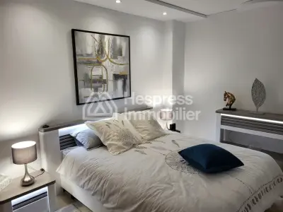 Luxury Apartment