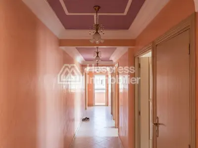 Appartement ensoleillé