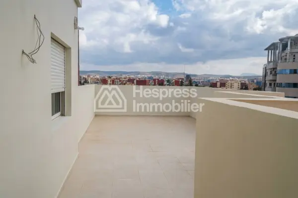 Apartment with large terrace