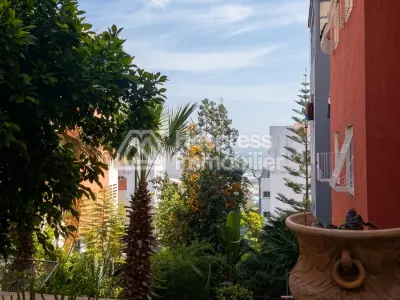 Large, bright apartment