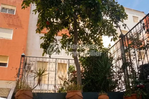 Large, bright apartment