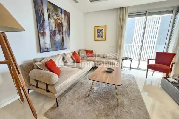 Spacious studio with large terrace