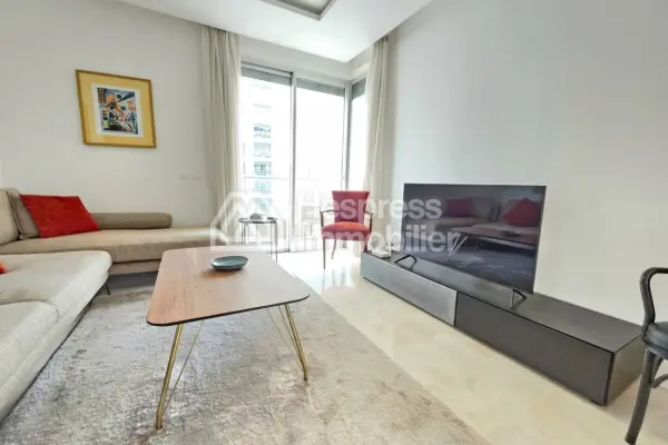 Spacious studio with large terrace