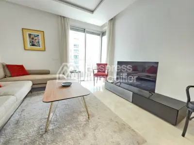 Spacieux studio avec grande terrasse